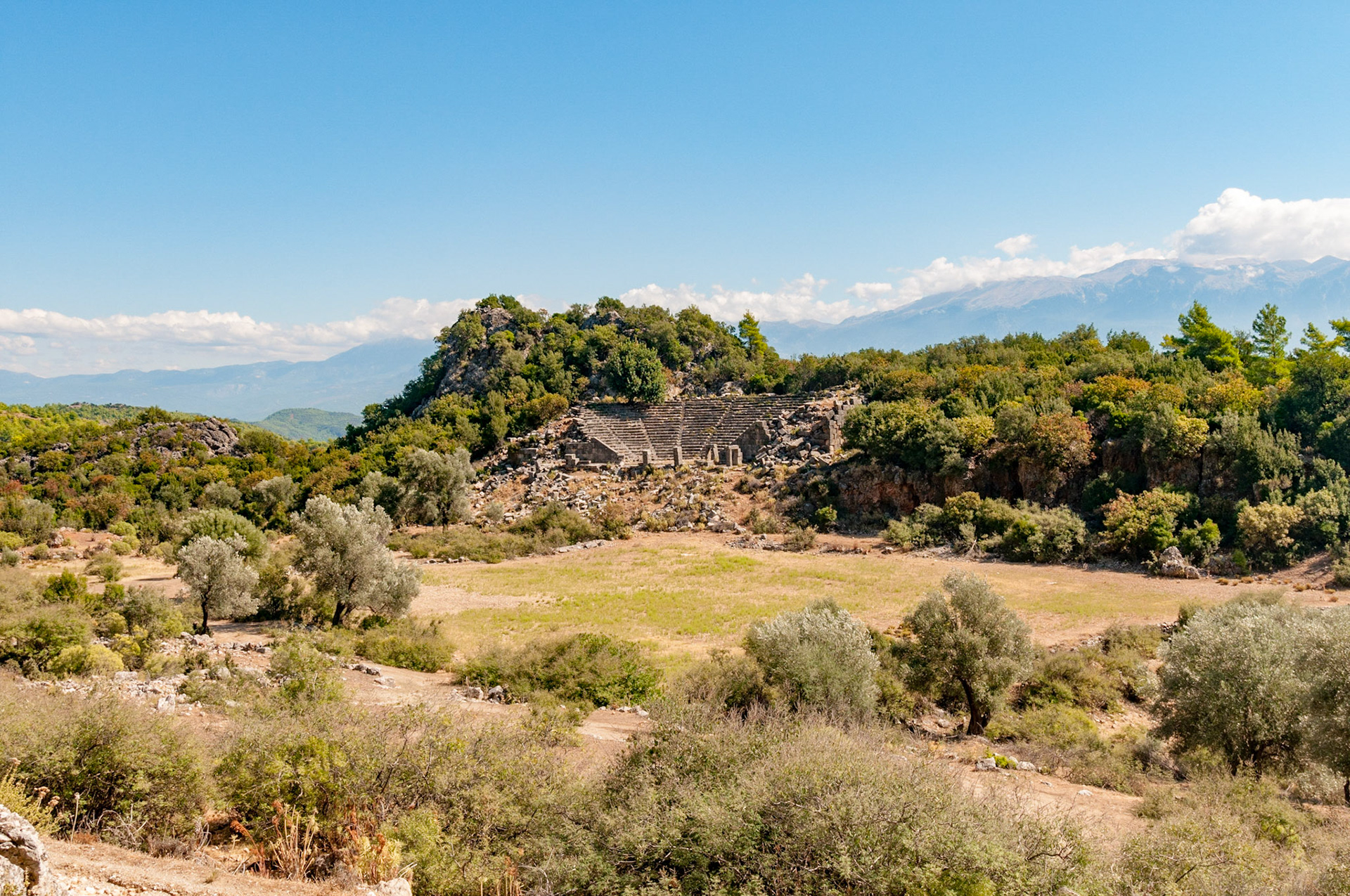 Pinara