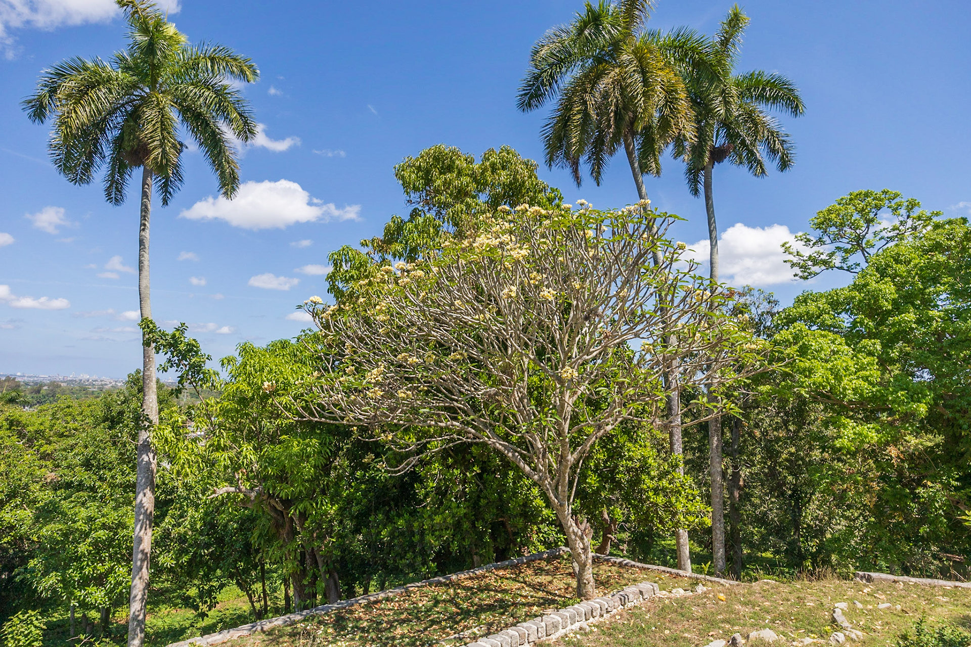 Hemingway House