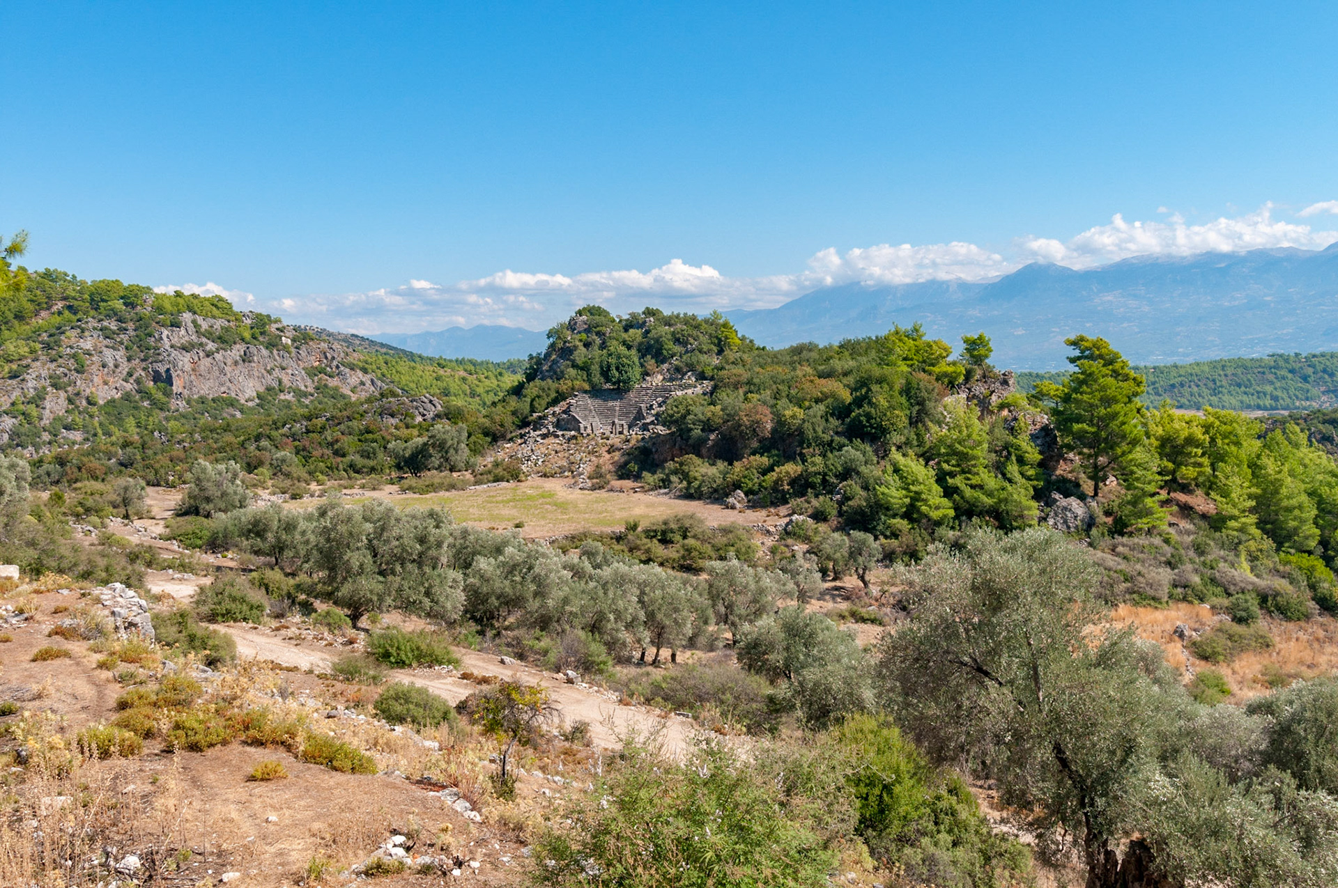 Pinara