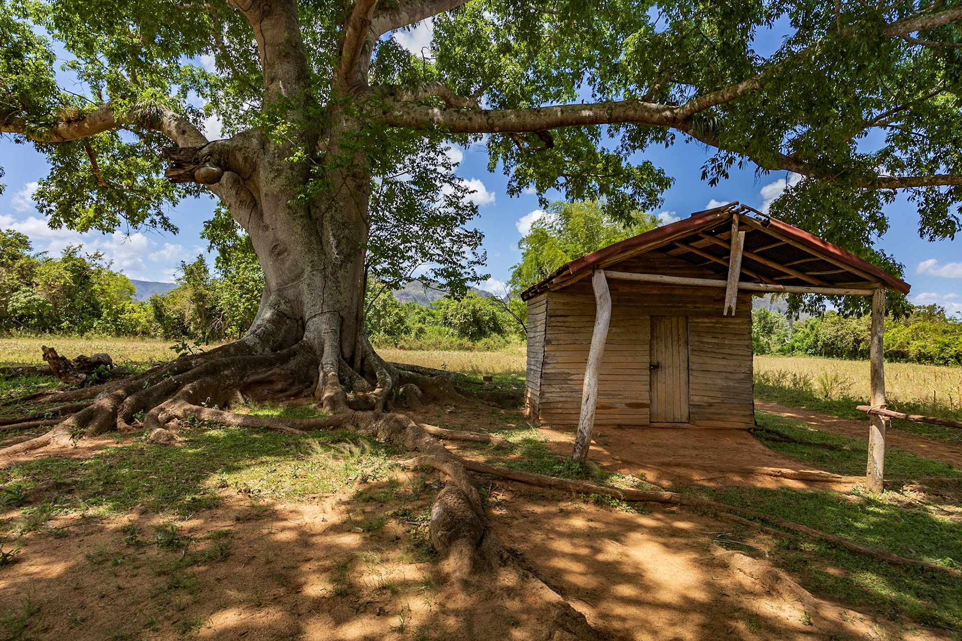 Viñales