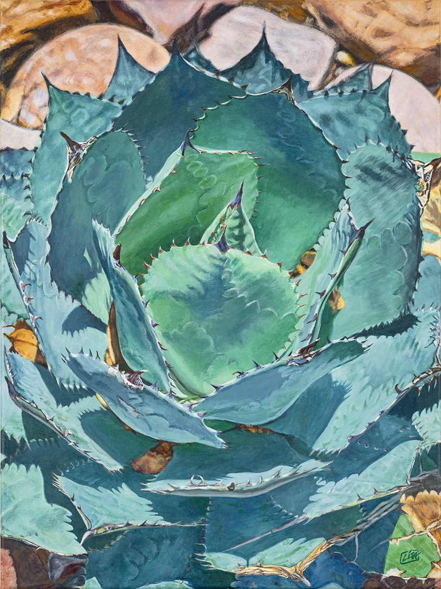 image of an acrylic painting on canvas depicting an agave cactus plant
