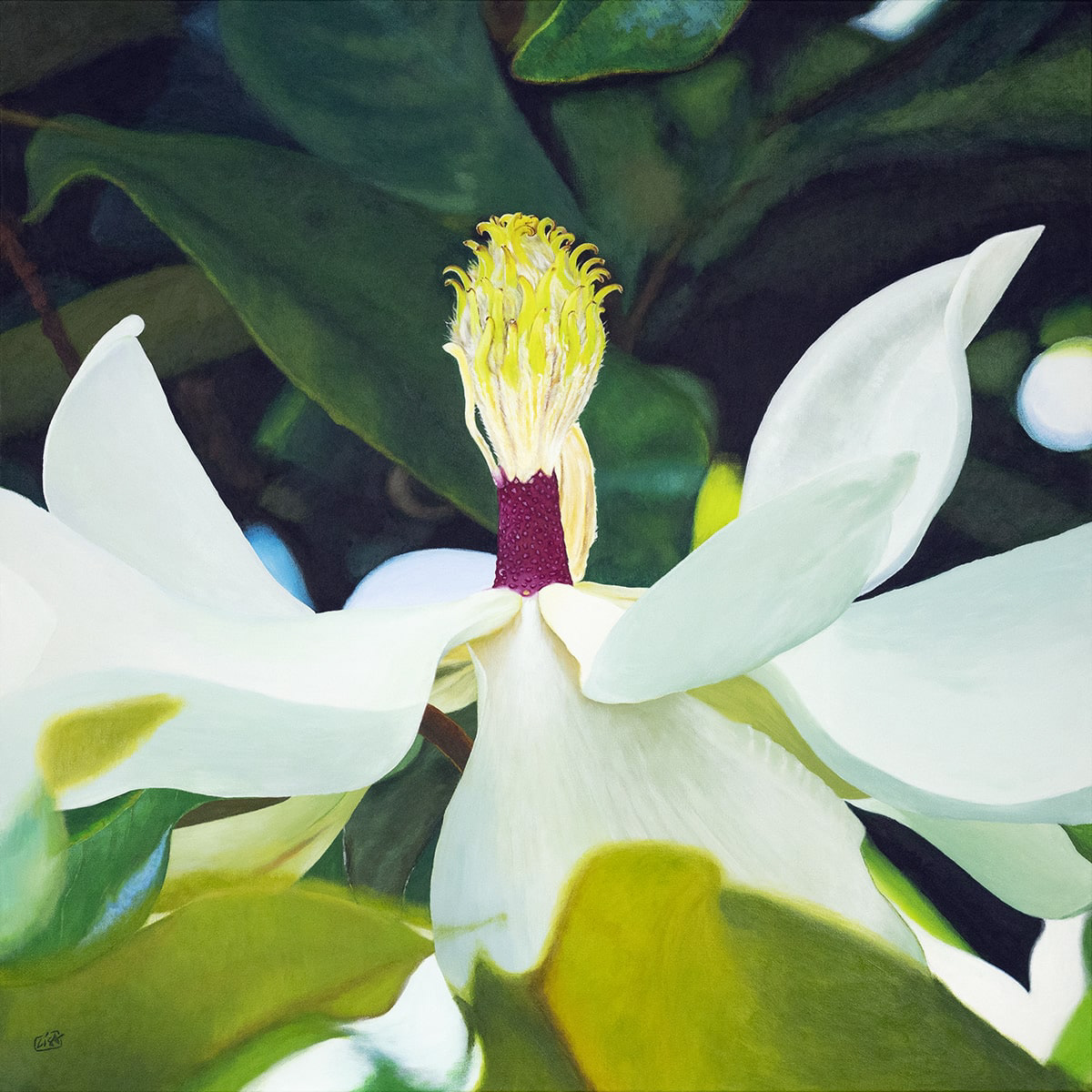 image of a magnolia flower painted on canvas