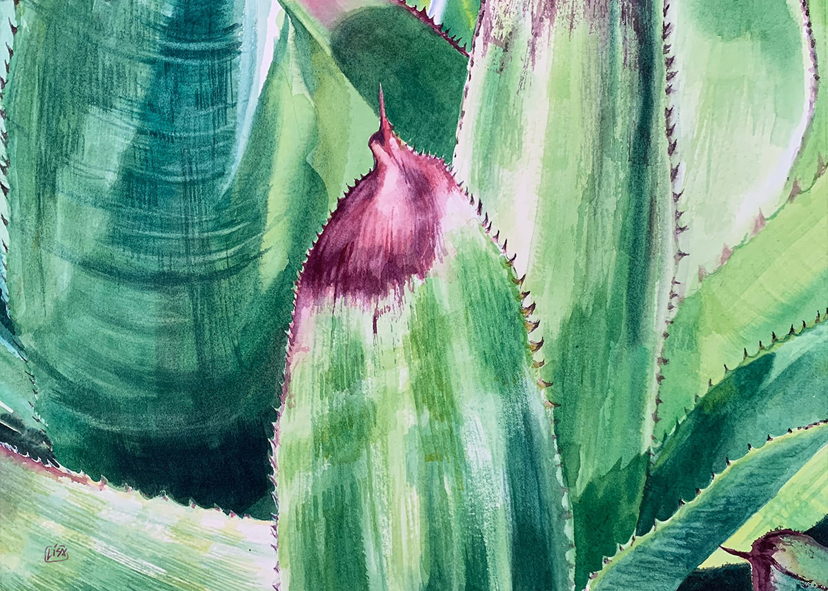 image of a watercolor painting of bromeliad plant leaves
