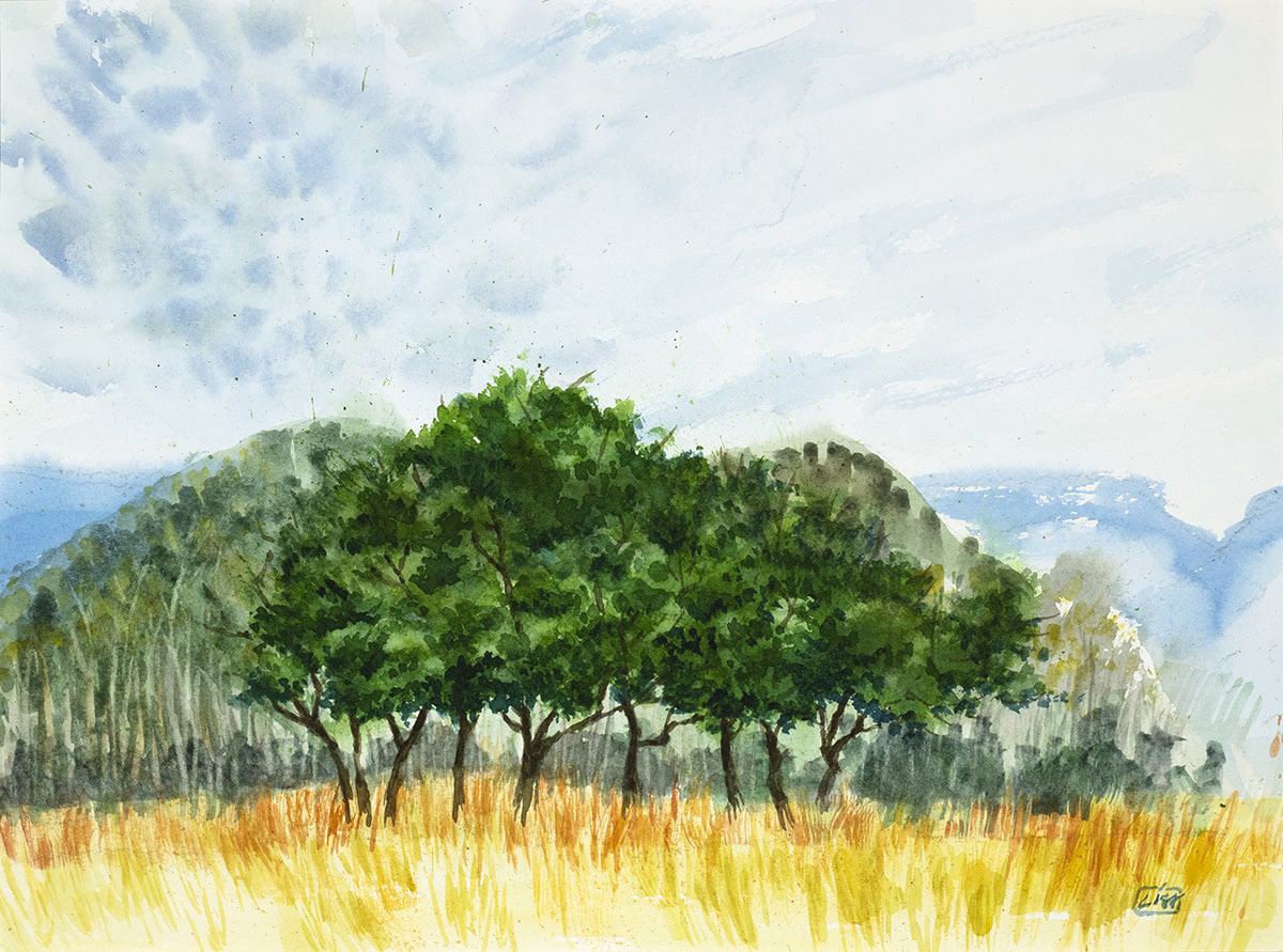 Watercolor painting of a stand of trees with hills behind it.