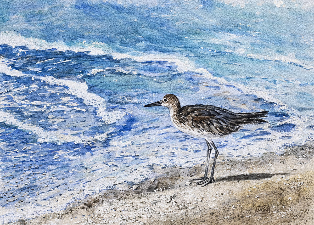 image of a watercolor painting depicting a shore bird with long legs near the bubbles on the water