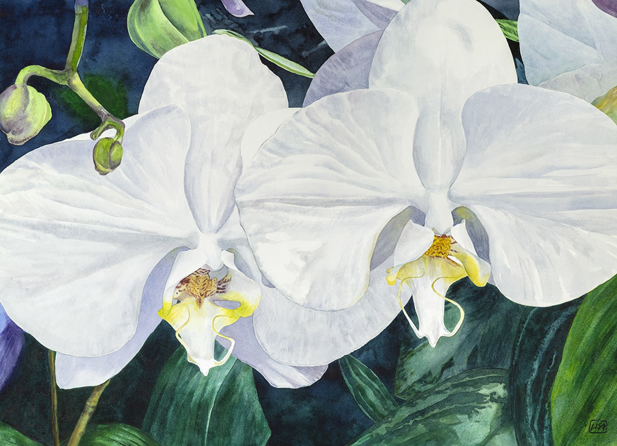 image of watercolor painting with two orchid flowers depicted