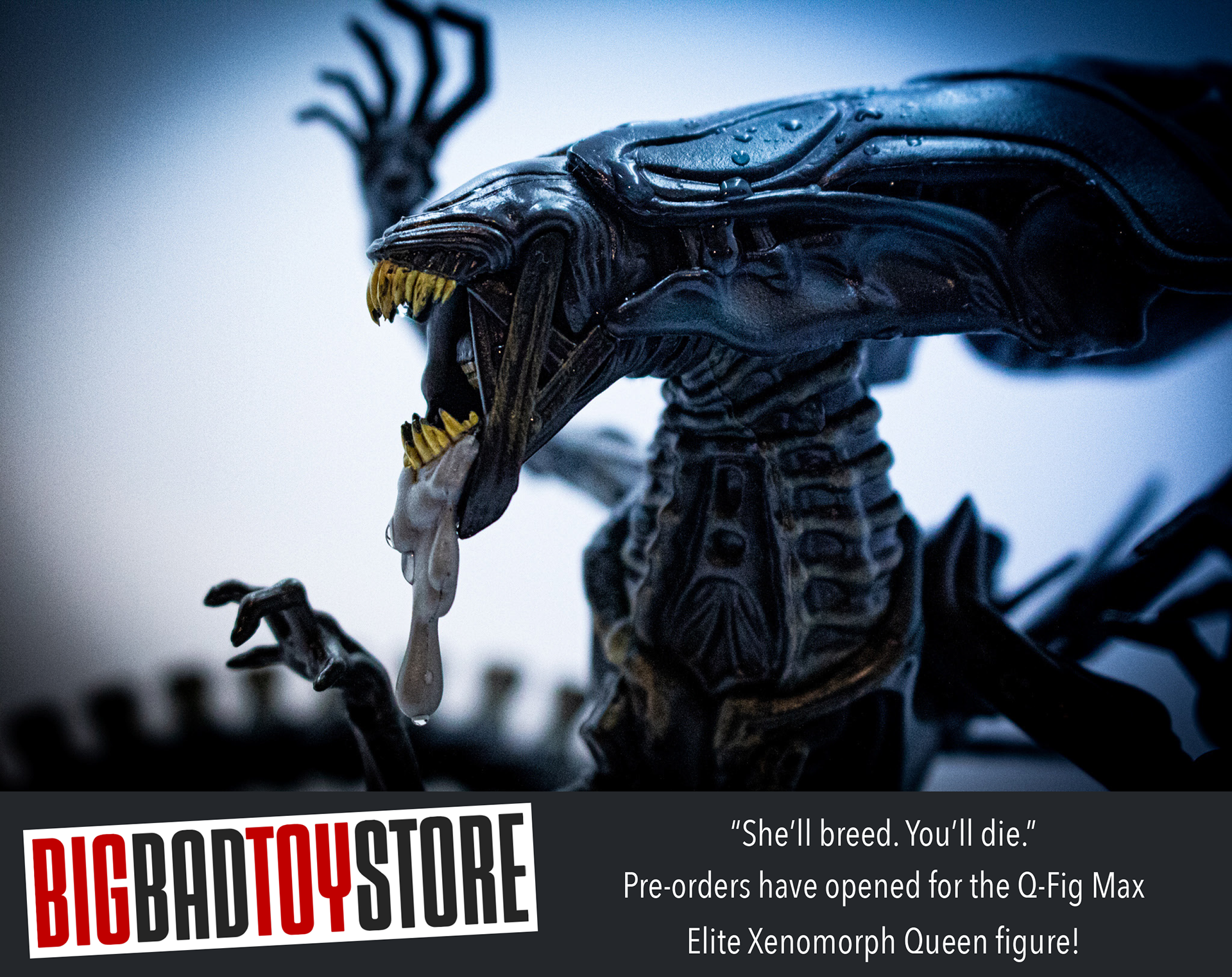 Xenomorph Queen Pre-order Ad