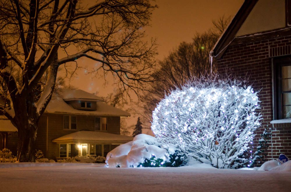 South Bend, IN