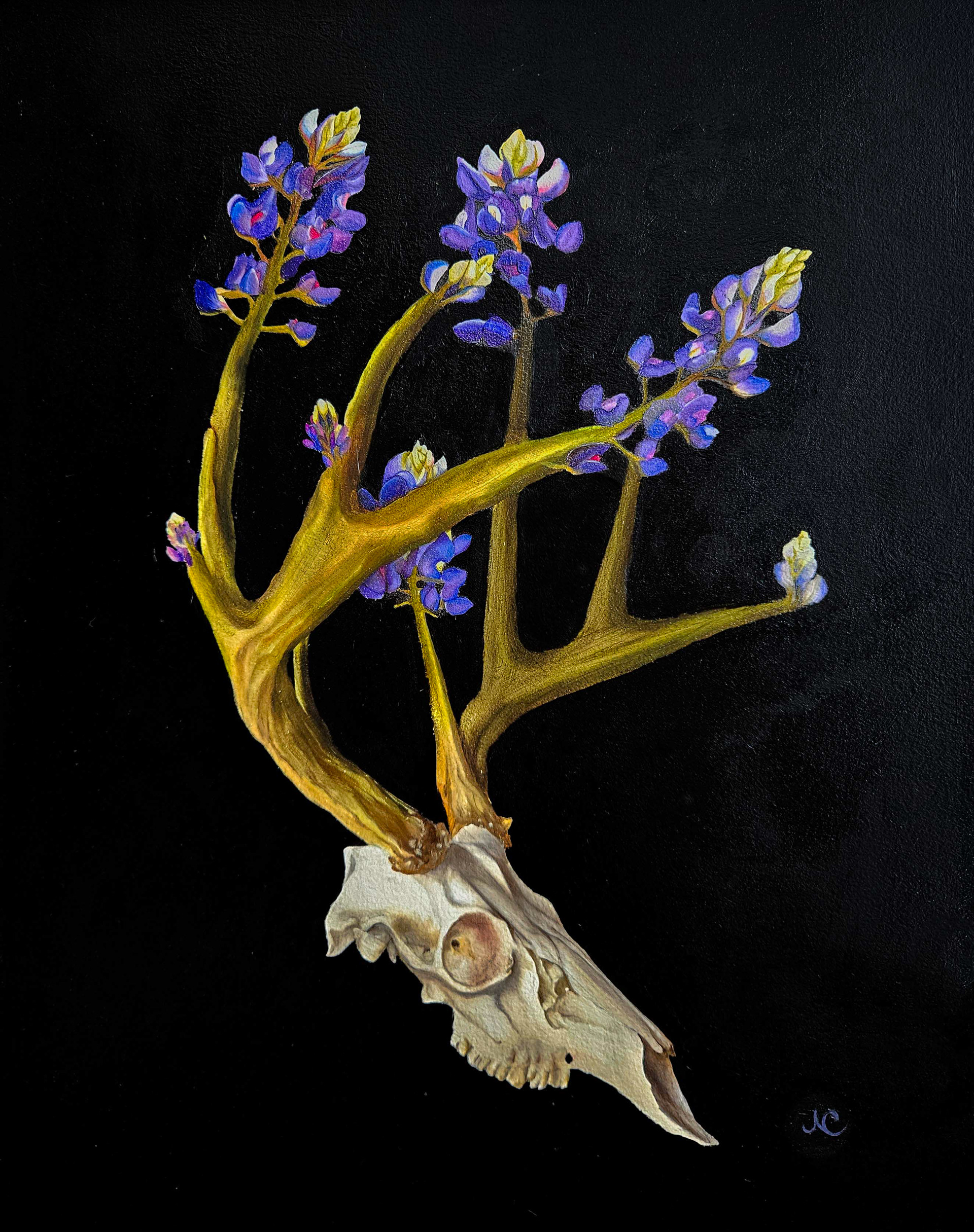 Echoes of the Prairie