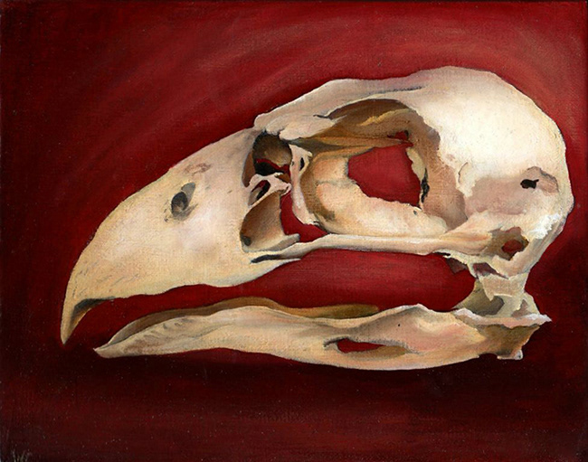 Untitled Bird Study  (SOLD)