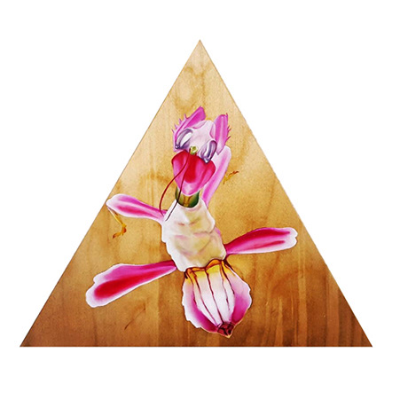 The Leader of Souls (SOLD)