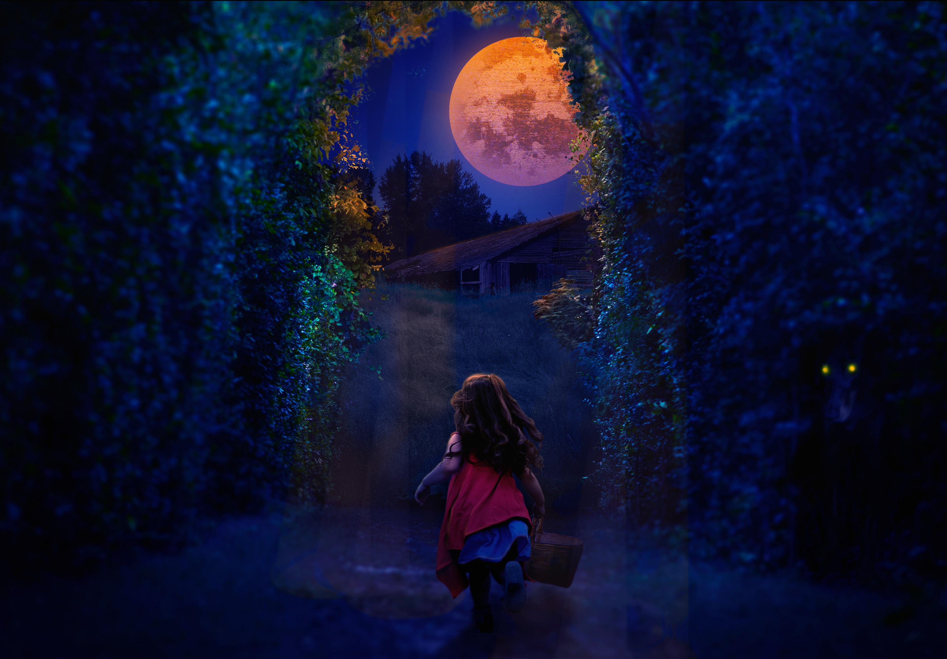 Narrative Montage | Adobe Photoshop