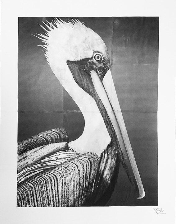 Texture Assignment | Cut Textured Paper