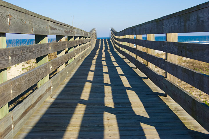 Natural Symmetry | Digital Photograph