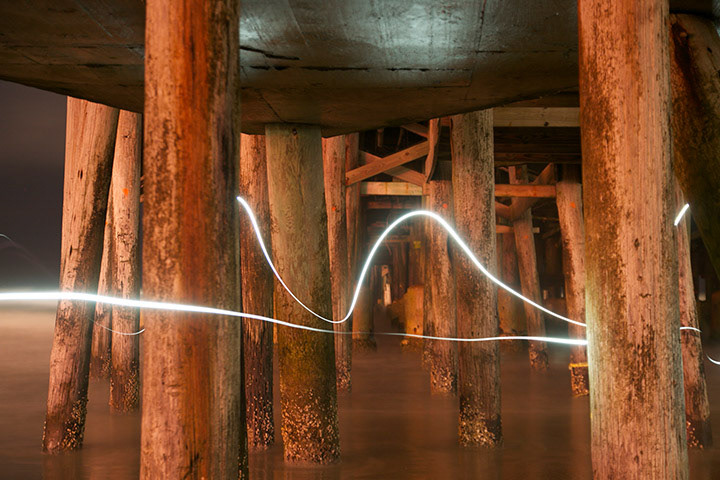 Motion | Digital Photograph