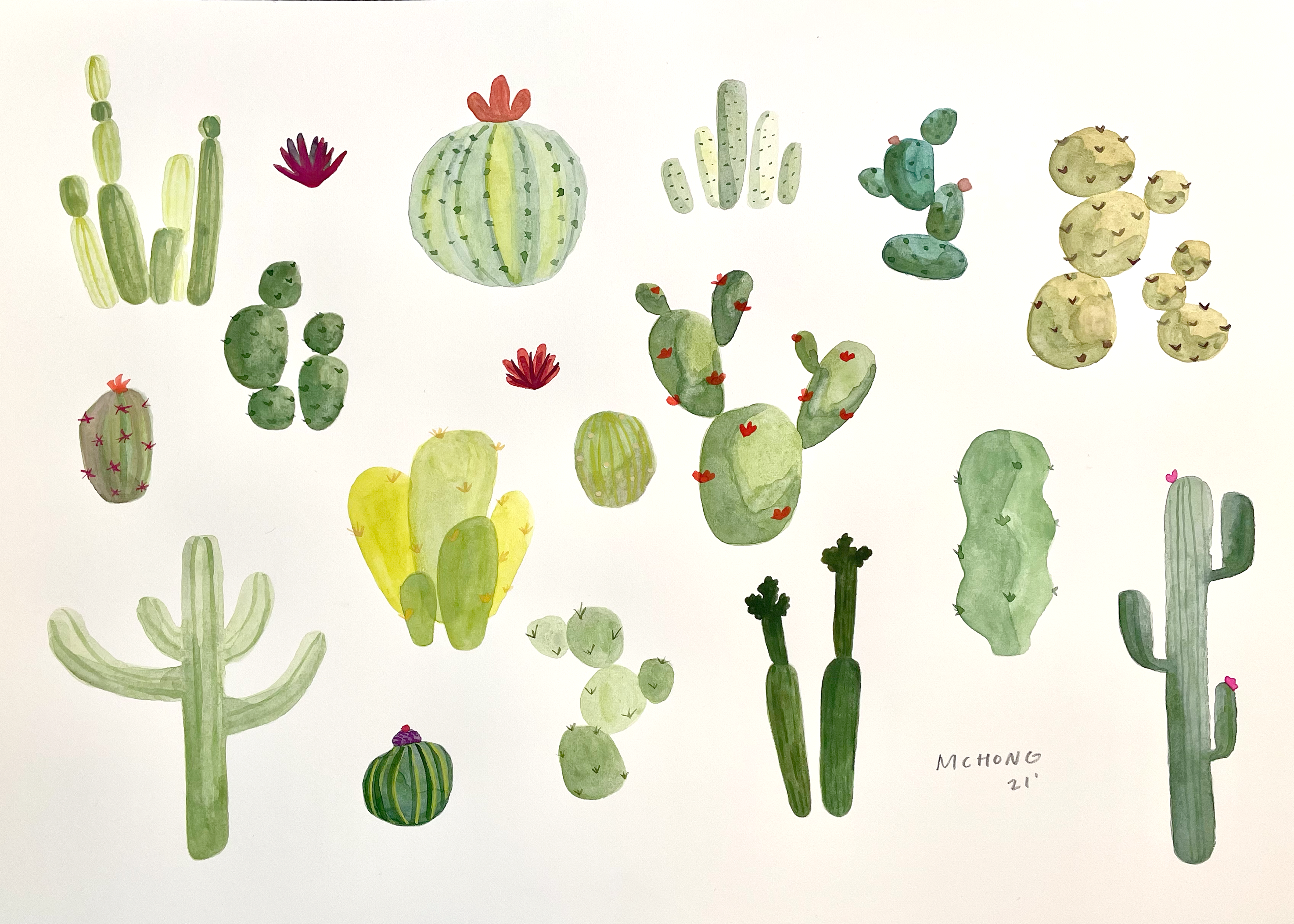 Desert life, 10x14