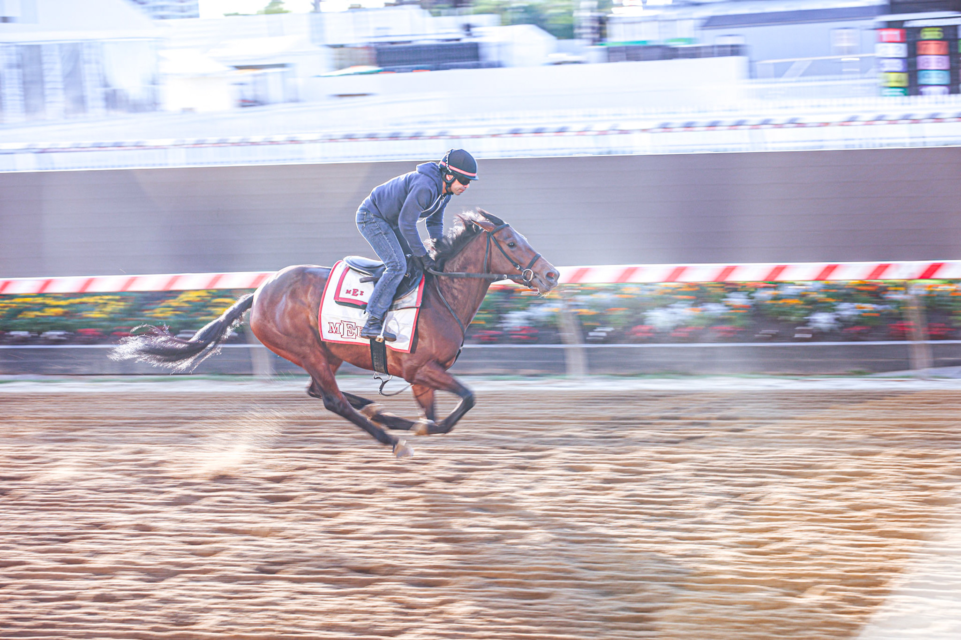 2023 - Hi Ho Pimlico! Home of the Preakness.