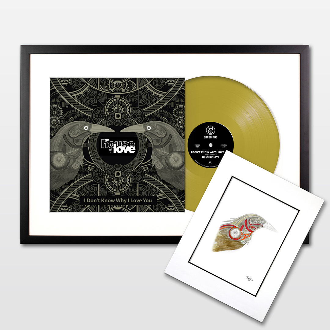 The House of Love - I Don't Know Why I Love You