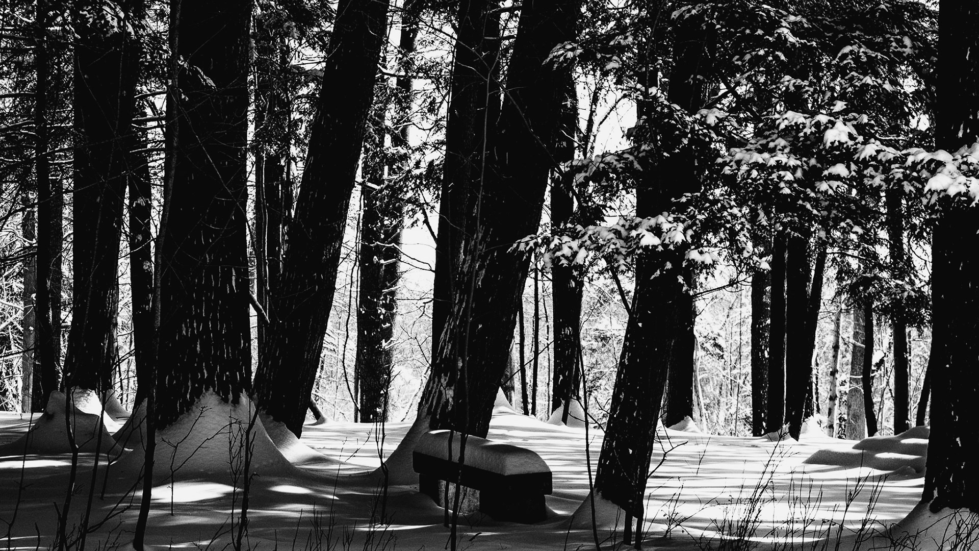Yaddo