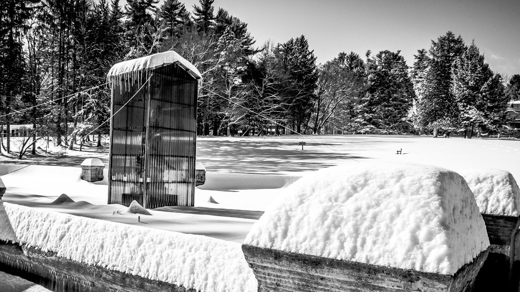 Yaddo