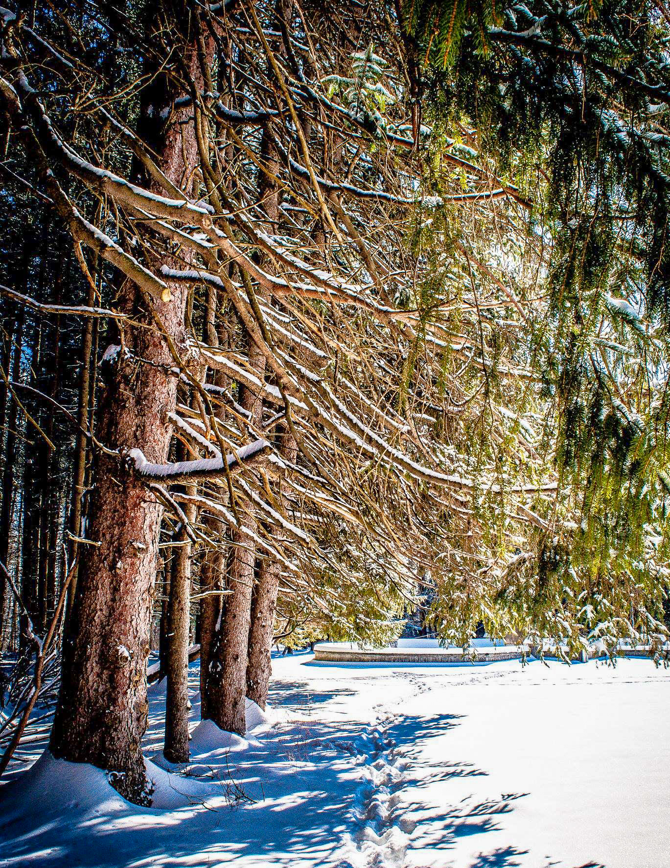 Yaddo