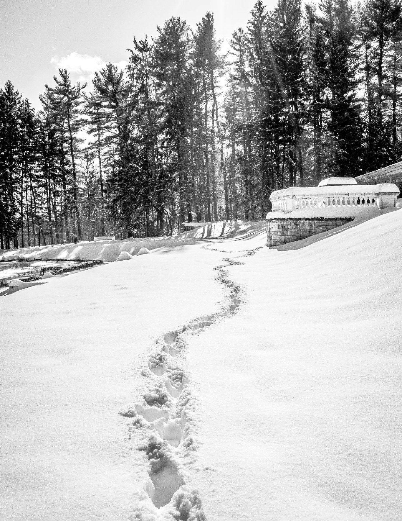 Yaddo