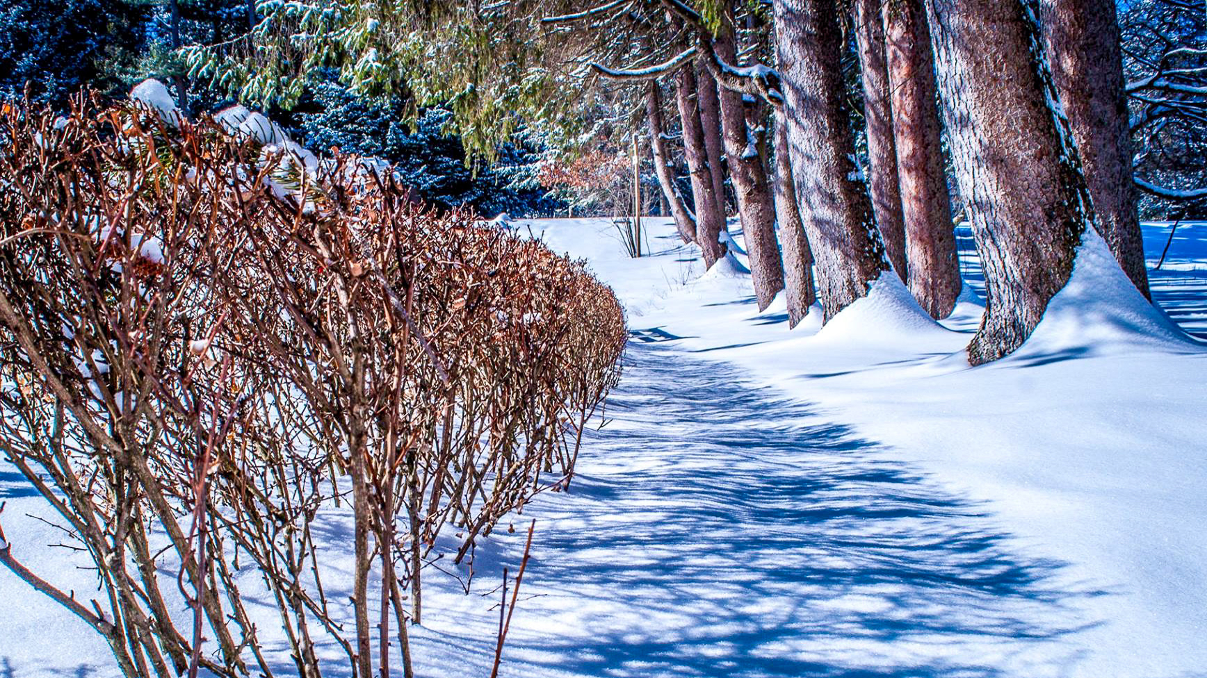 Yaddo