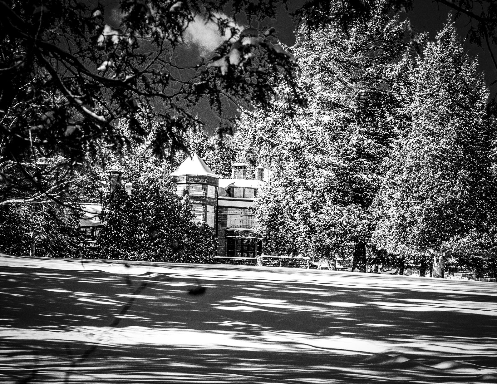 Yaddo