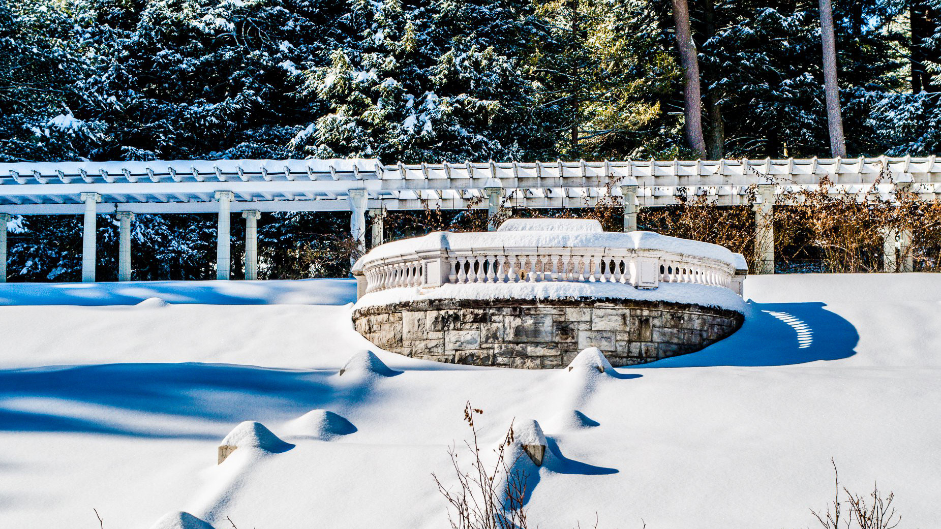Yaddo