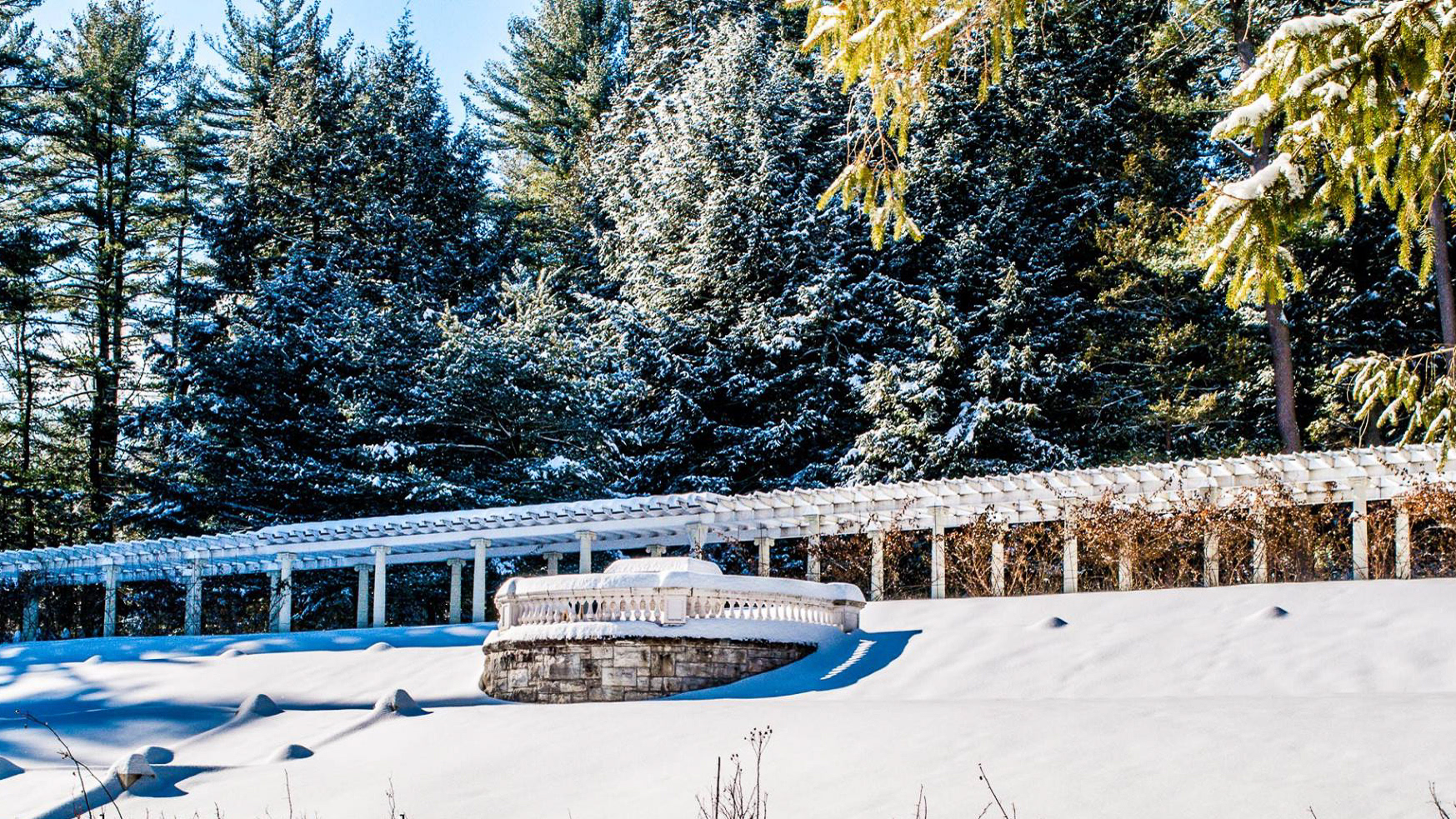 Yaddo