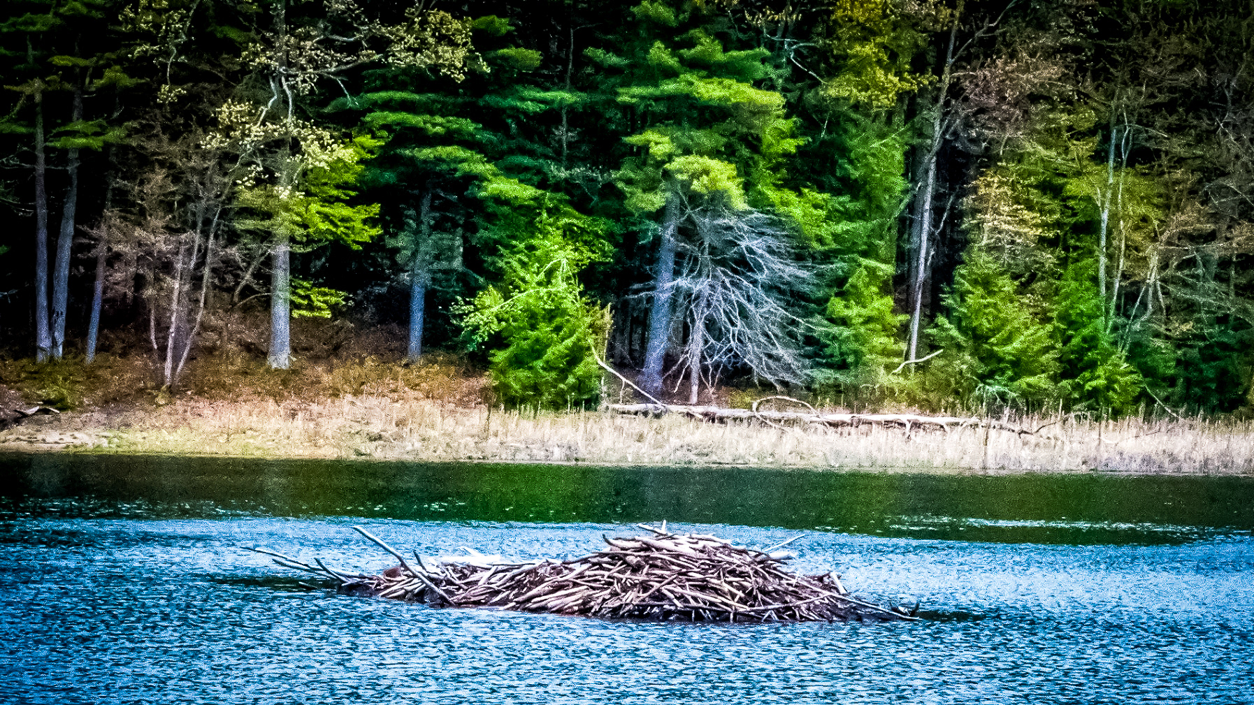 Moreau Lake State Park