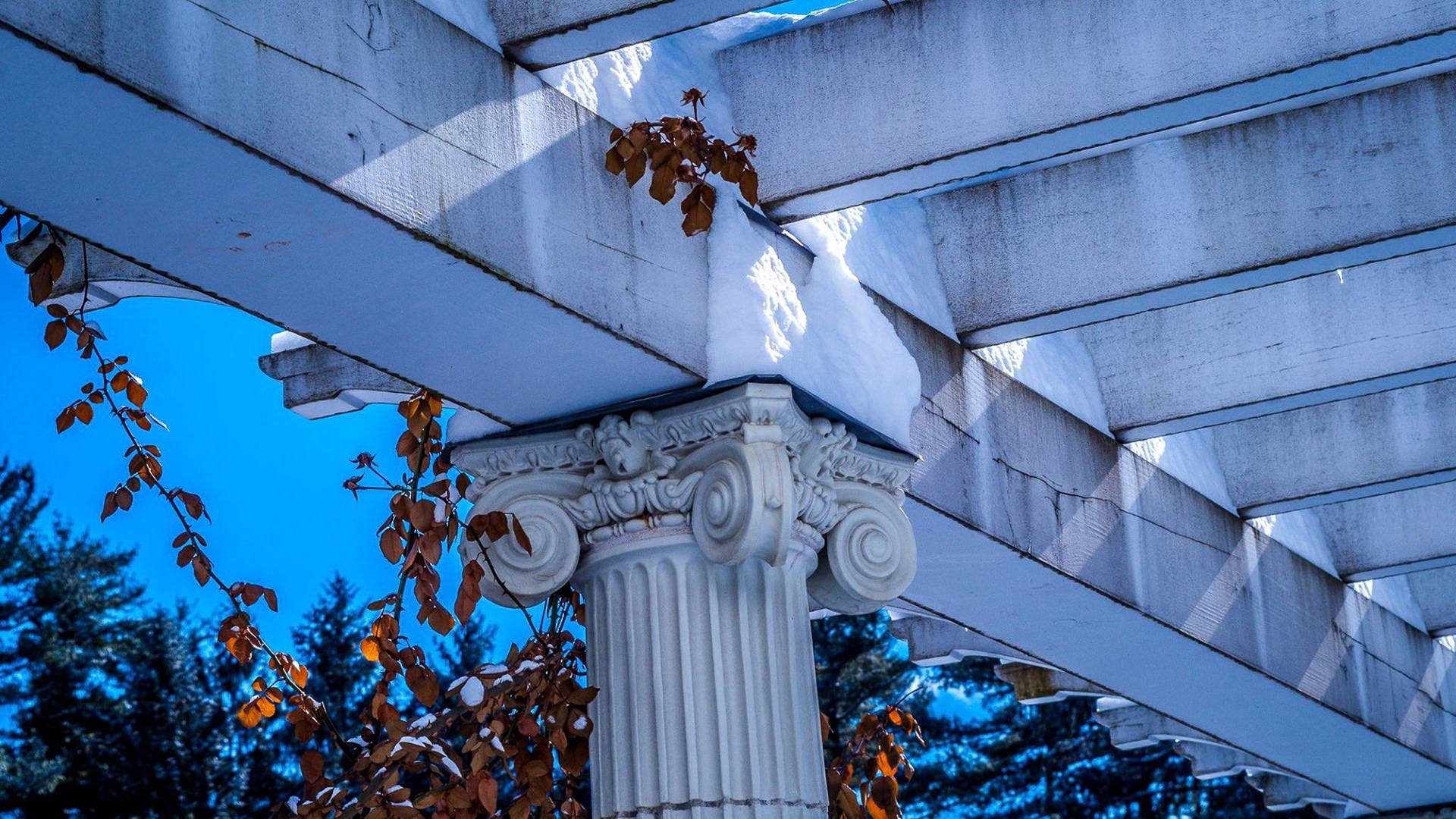Yaddo