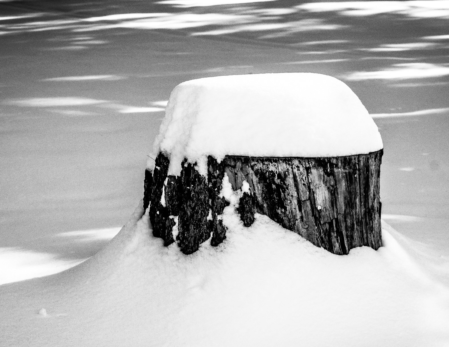 Yaddo