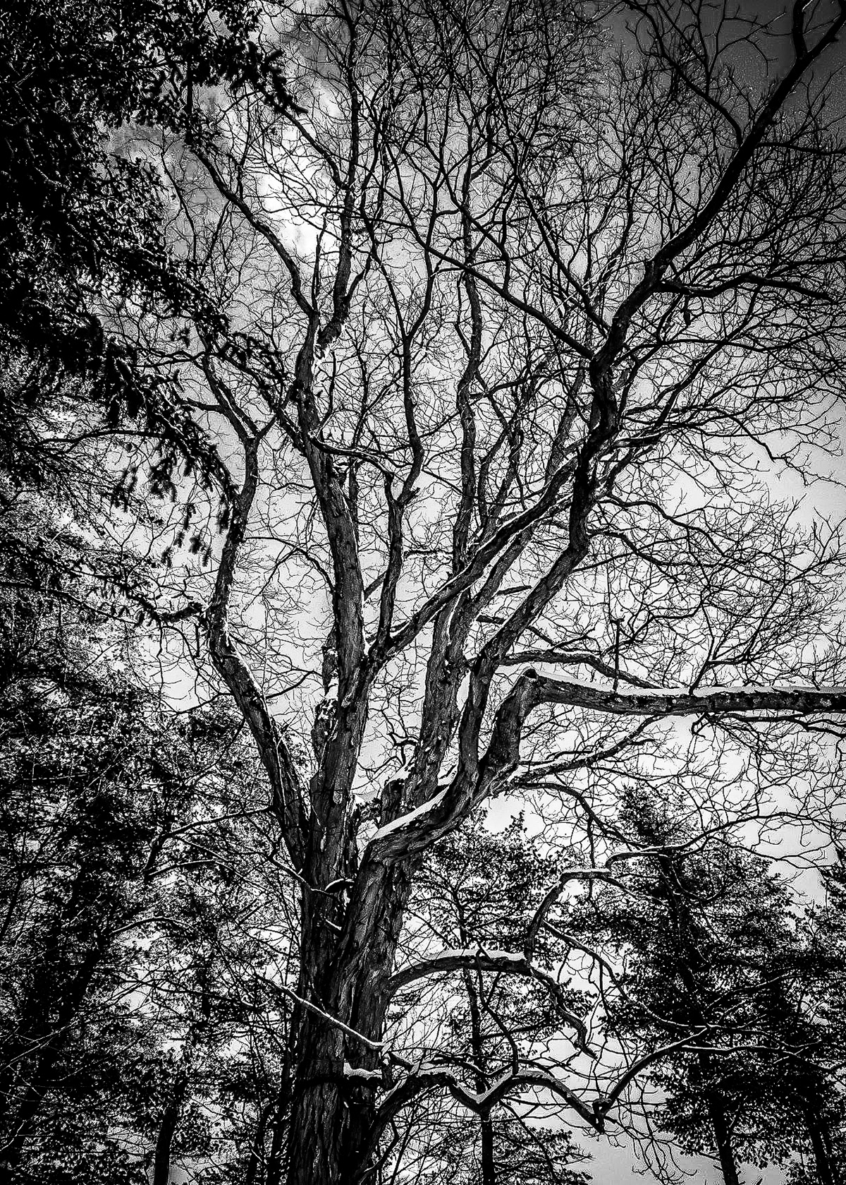 Yaddo