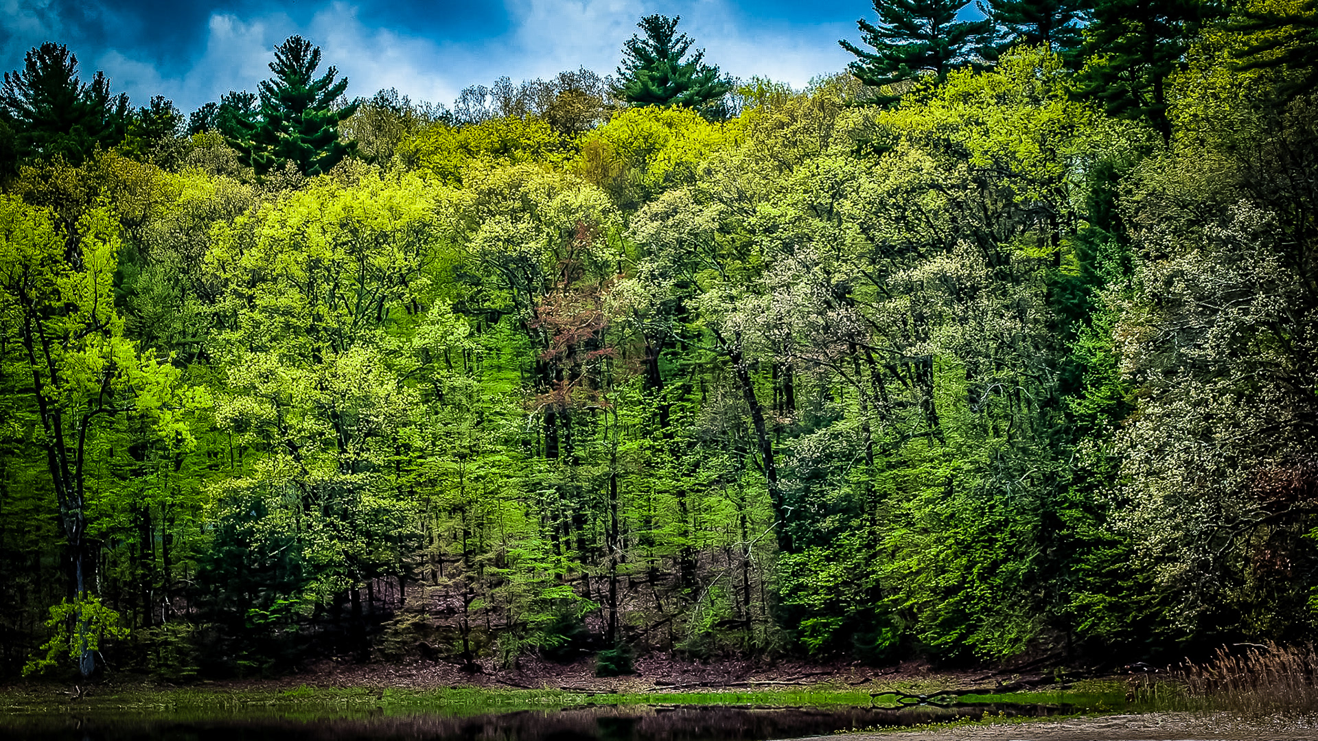 Moreau Lake State Park