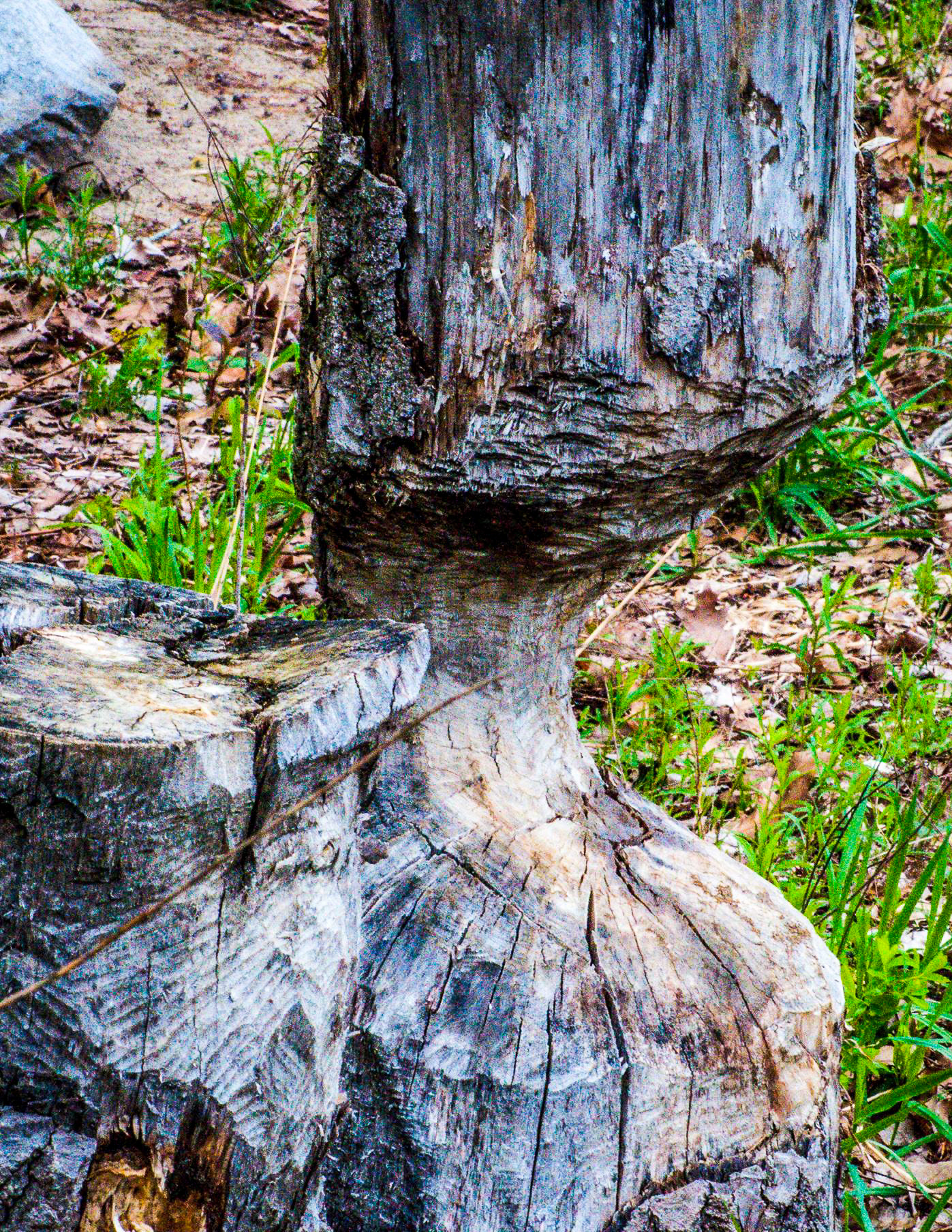 Moreau Lake State Park