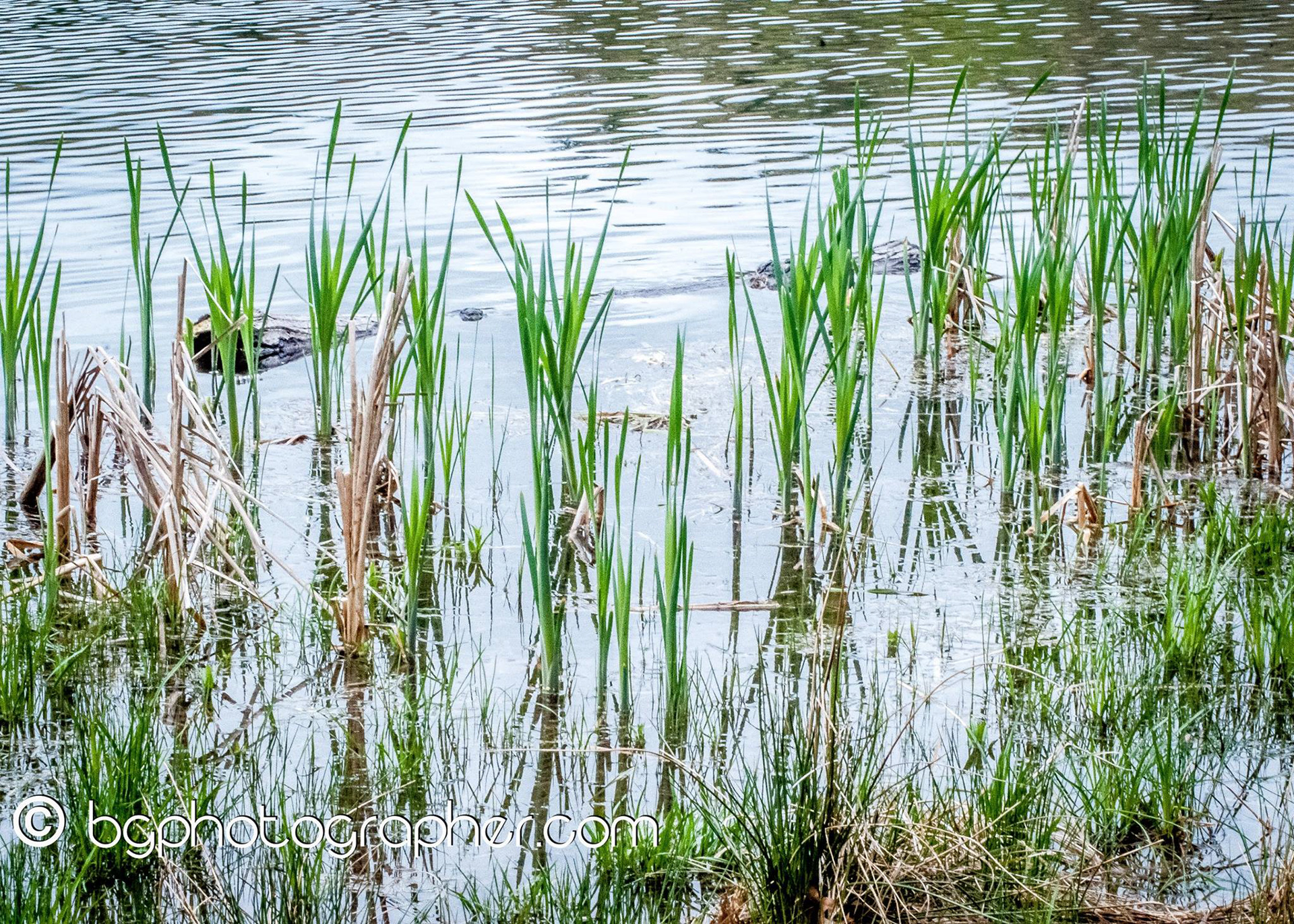Moreau Lake State Park
