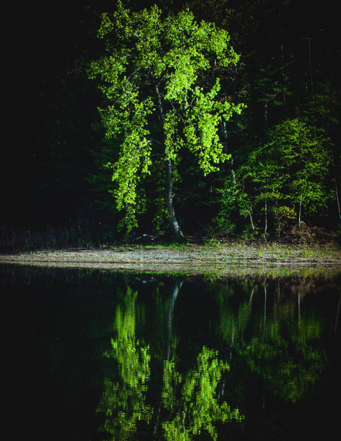 Moreau Lake State Park
