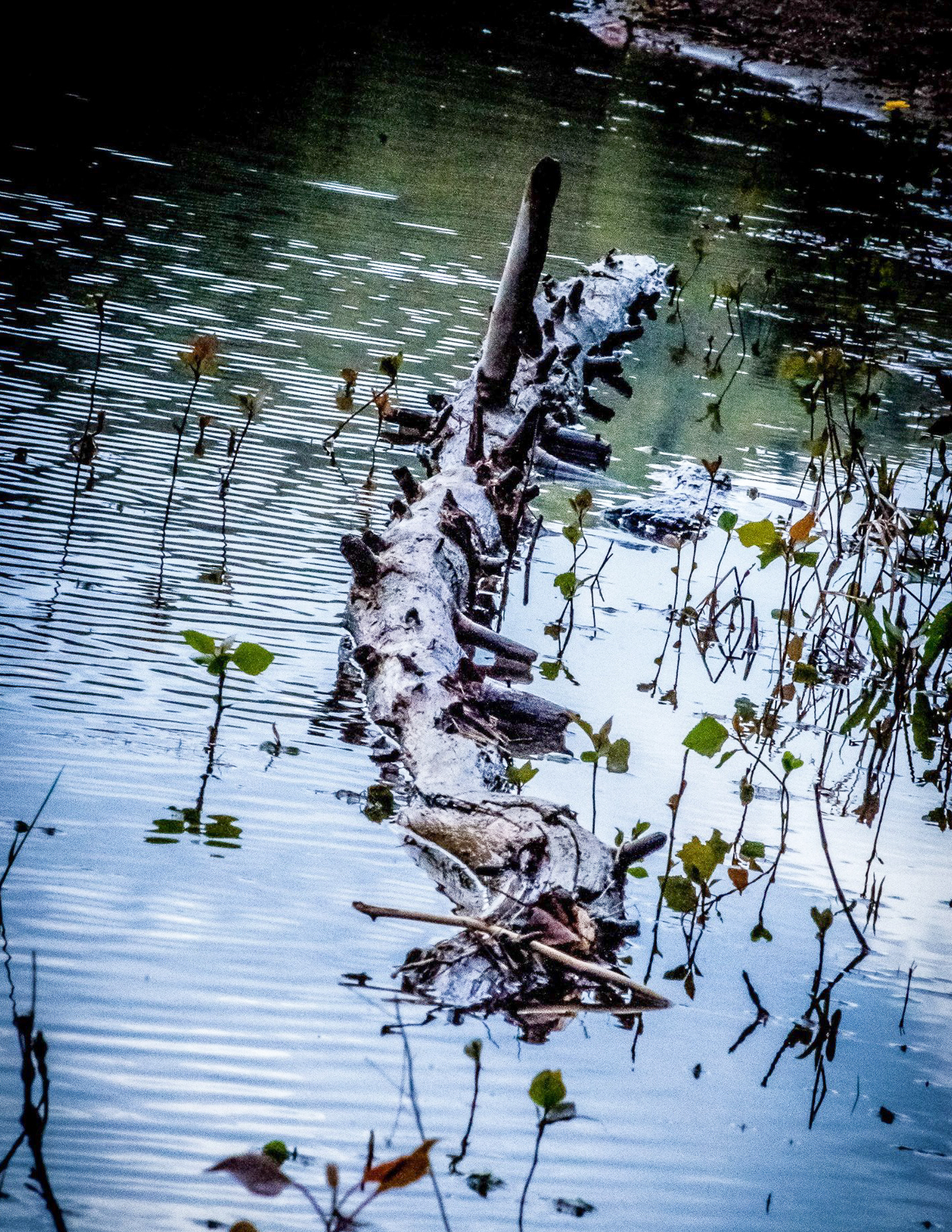 Moreau Lake State Park