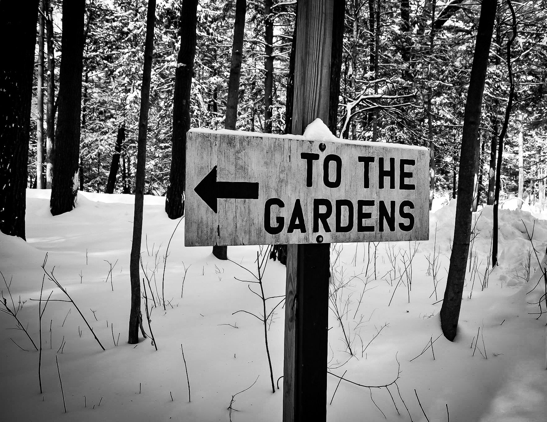 Yaddo