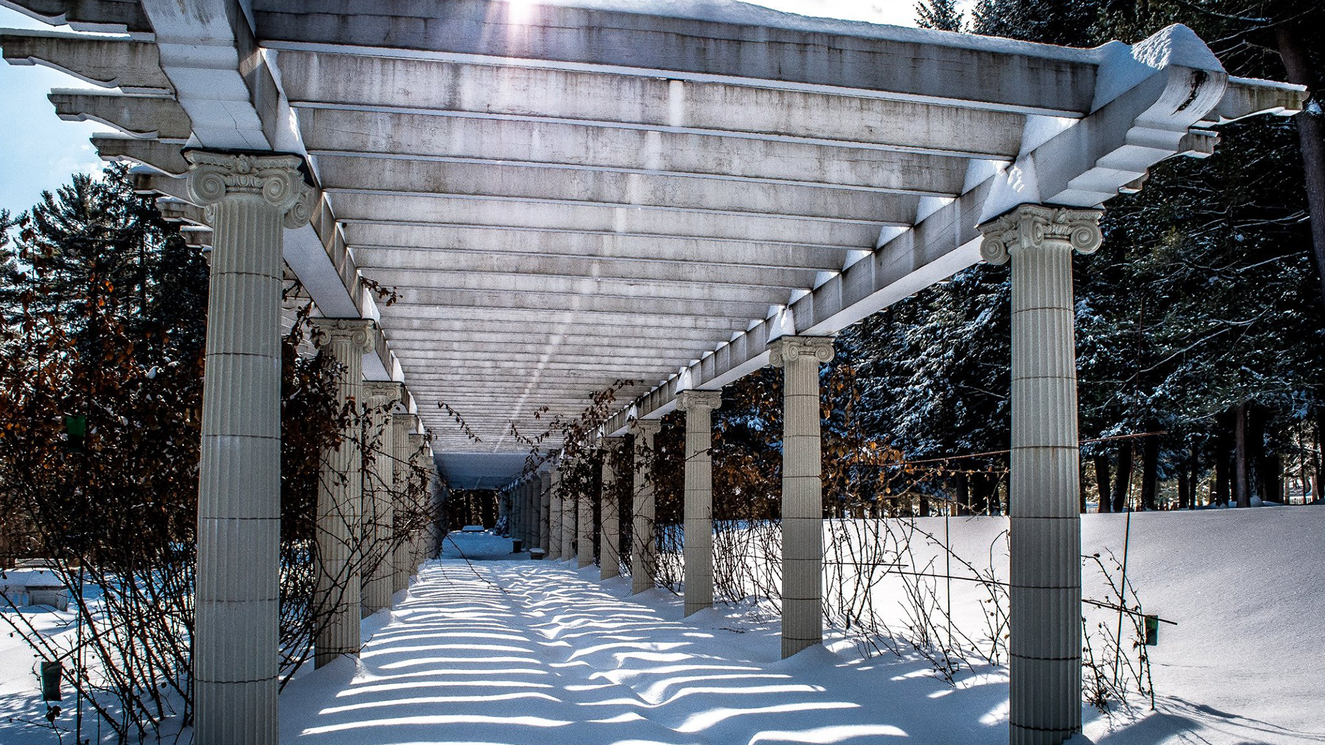 Yaddo