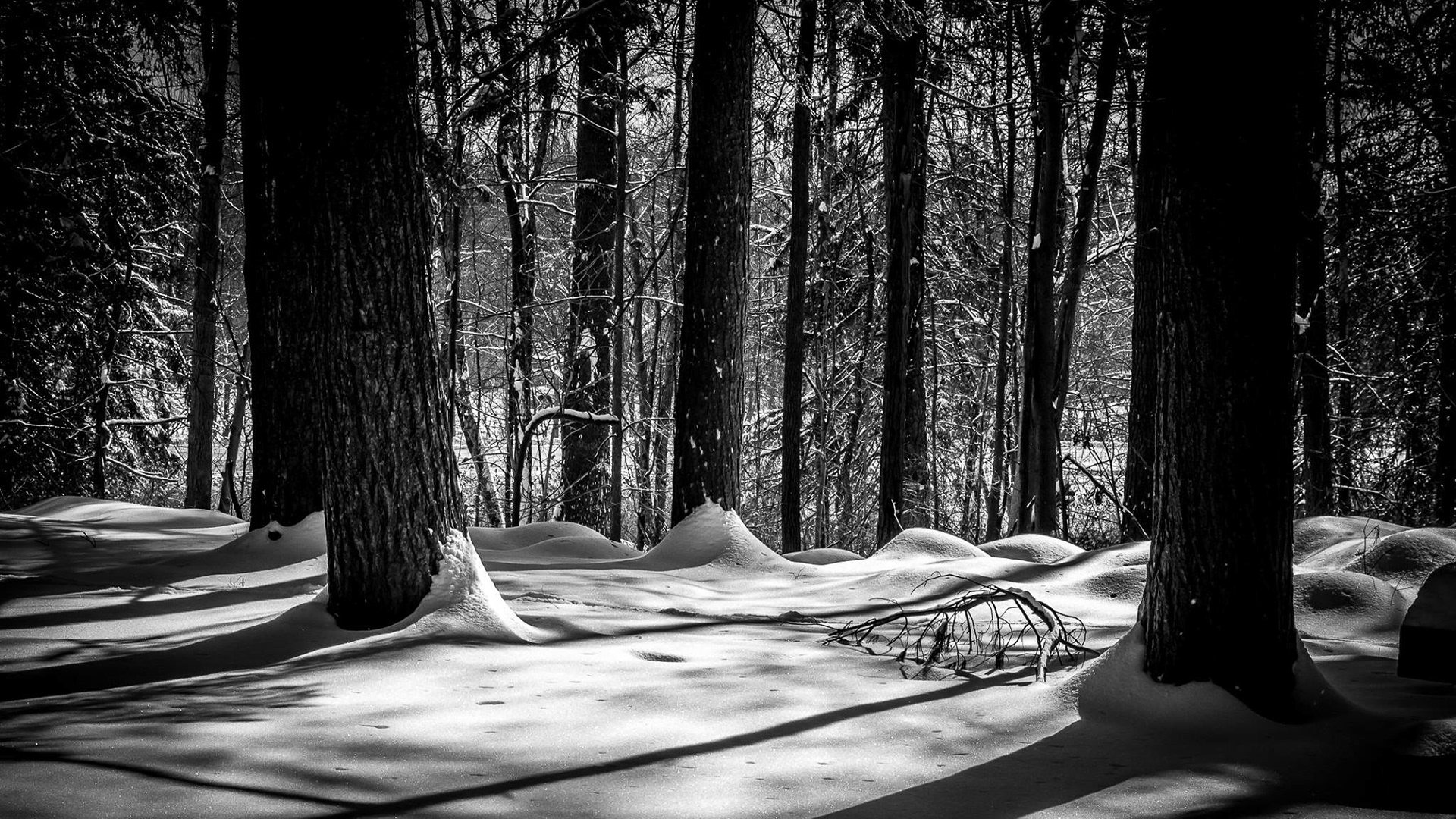 Yaddo