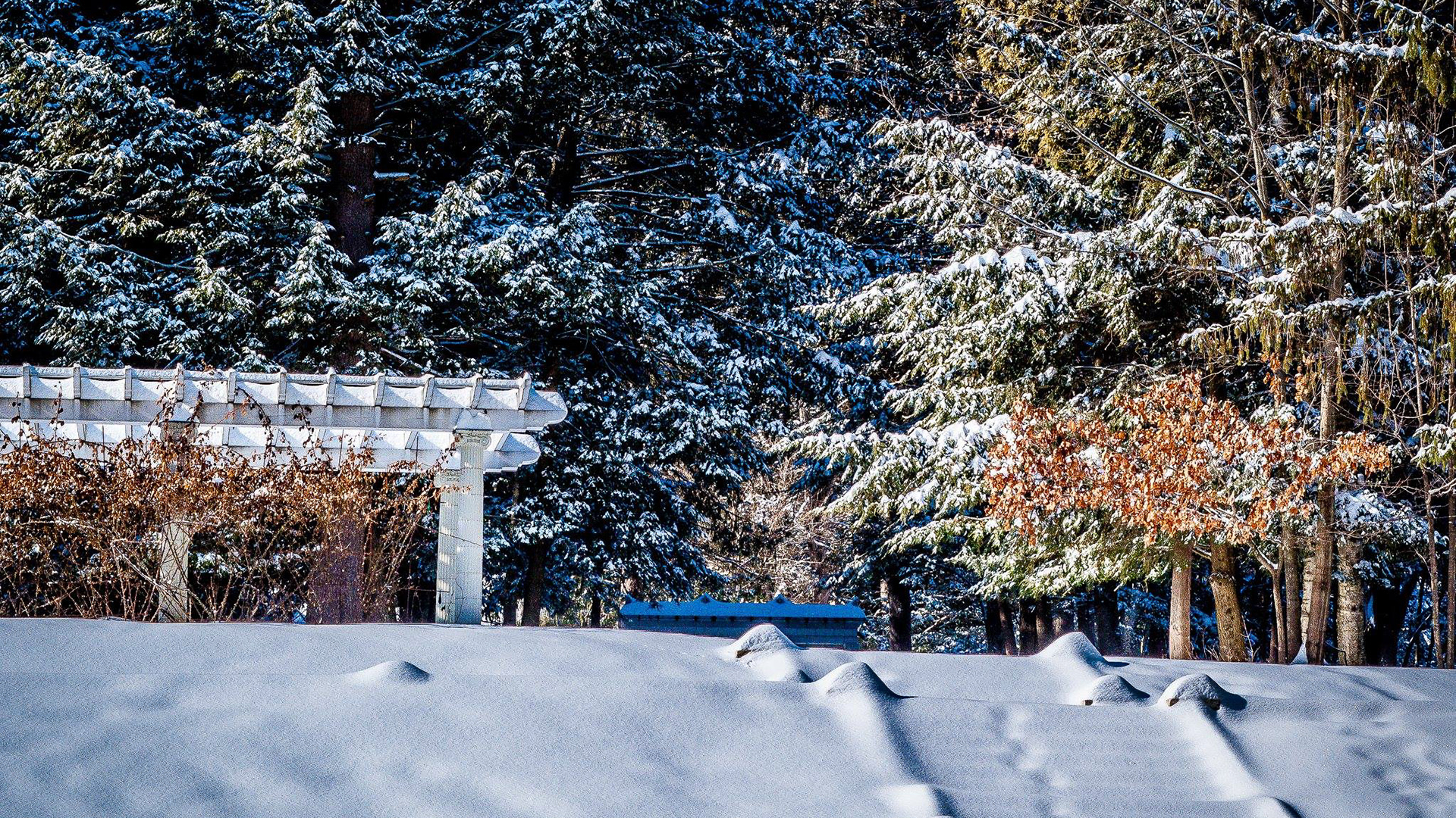 Yaddo