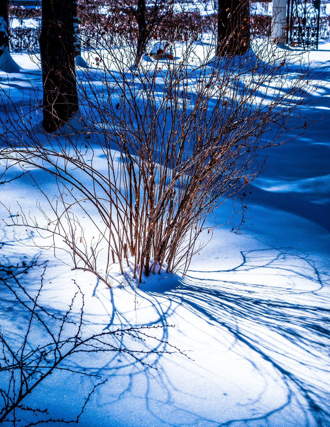 Yaddo