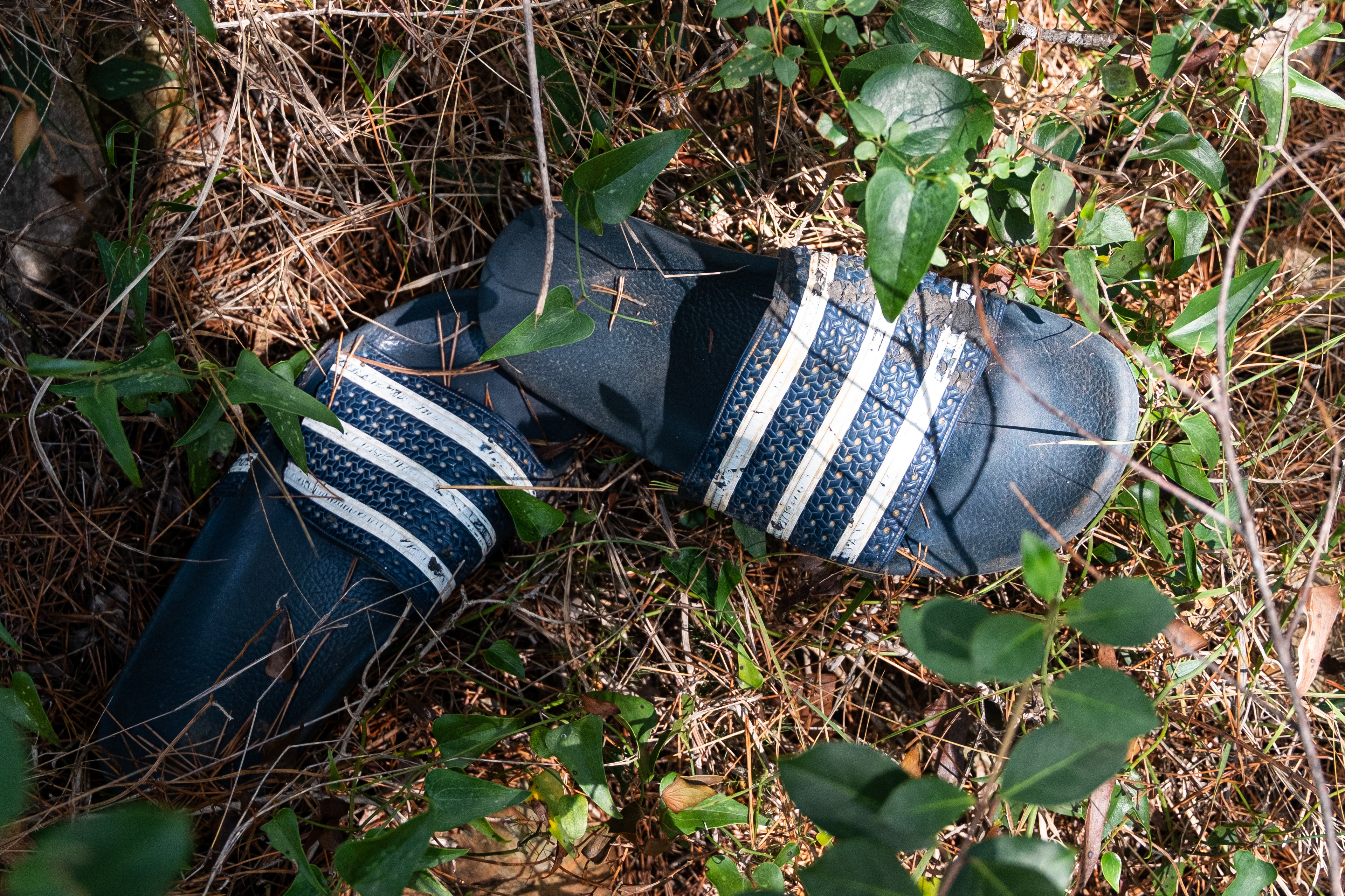 "The death path", a route migrants take to cross Ventimiglia border