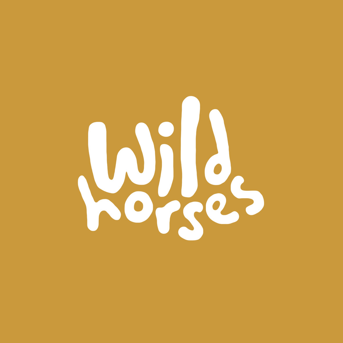 WILD HORSES