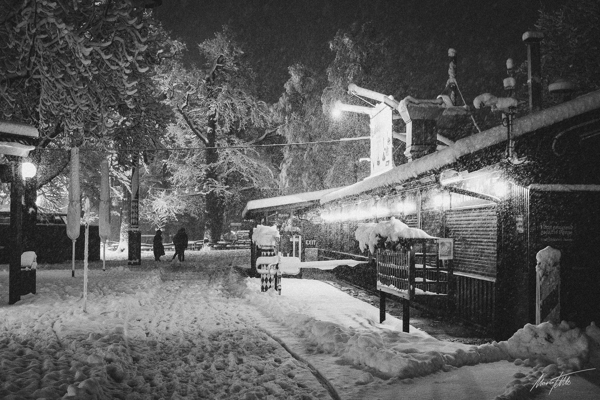 Der große Schnee kommt - Hirschgarten in München am 1. Dezember 2023 - Kamera PIXII A2572+