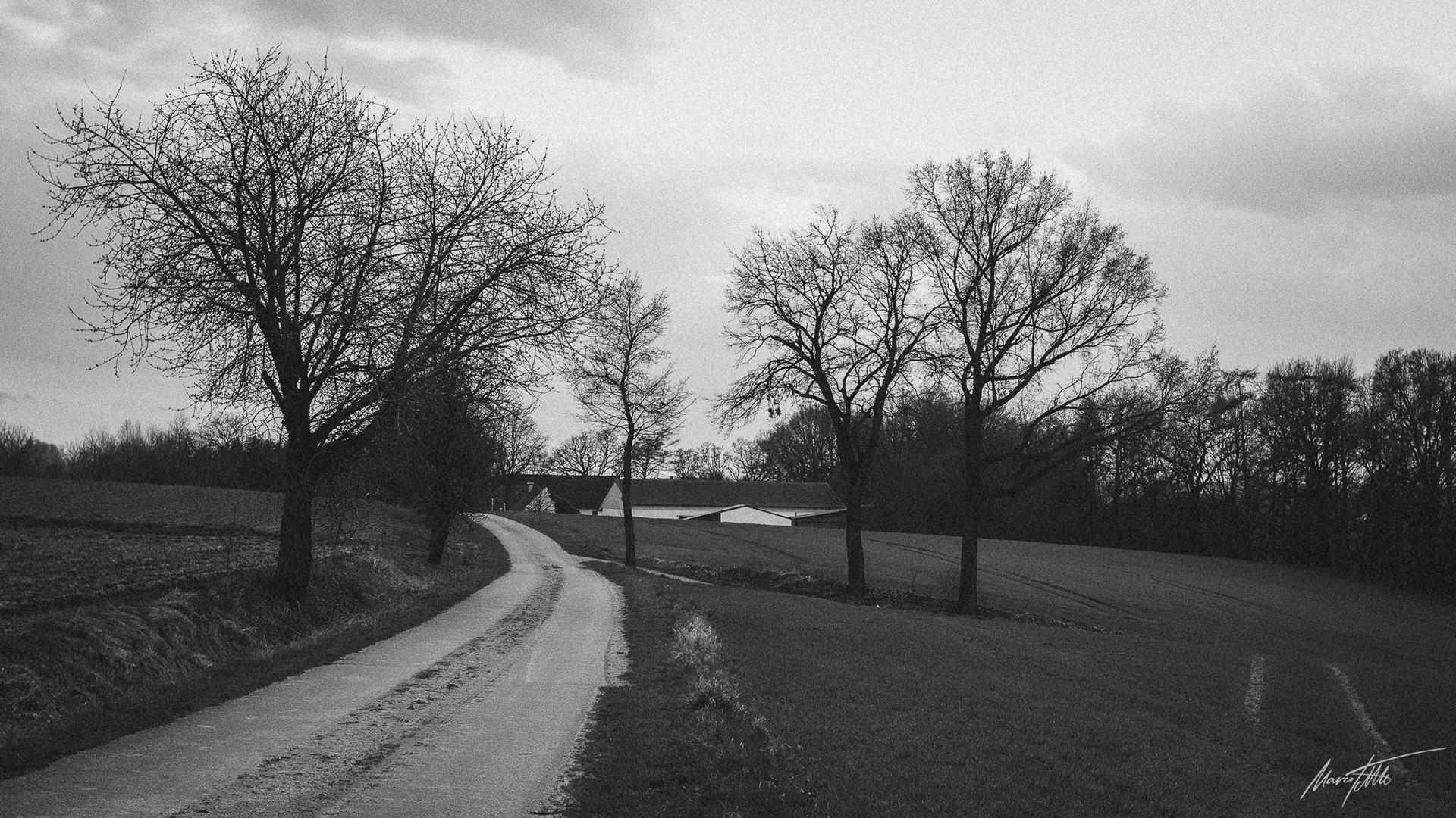 In der Holledau - PIXII A2572+