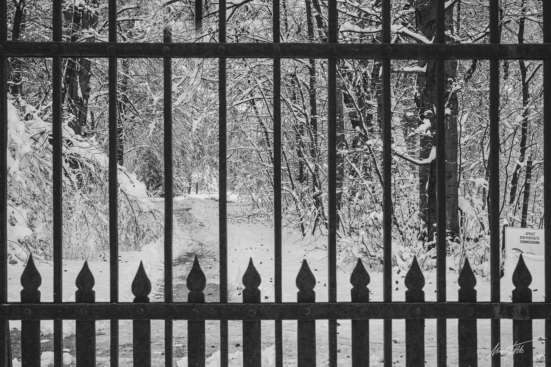 Schneebruch am gesperrten Schlosspark