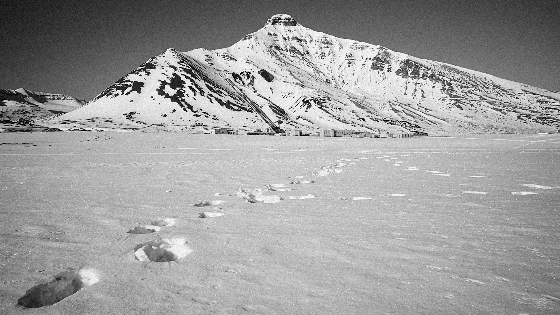 Die Siedlung Pyramiden ist nach dem im Hintergrund liegenden Berg benannt, der an die Form einer Pyramide erinnert. Die Spuren sind die eines Eisbären.